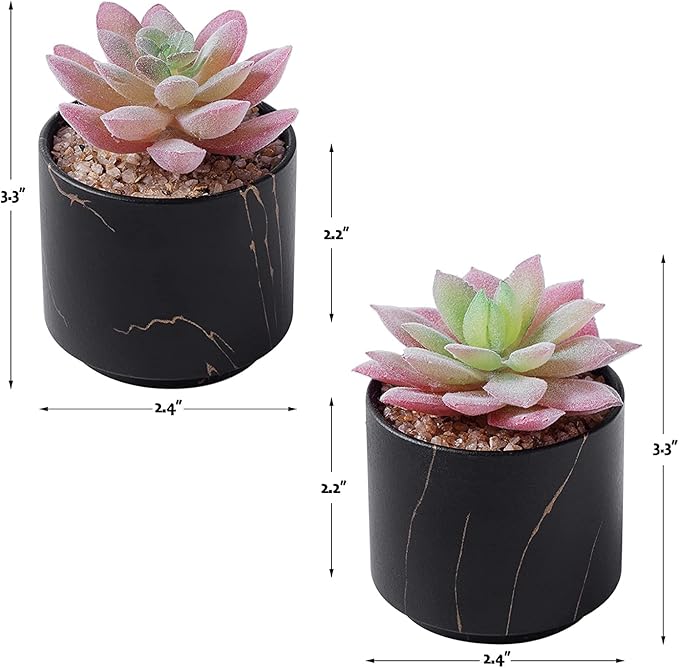 ZENMAG Mini Succulents Plants Artificial, Fake Succulents in Black Ceramic Pots for Desk Livingroom Bathroom and Home Decoration Office Decor for Women Set of 2 Artificial Succulents