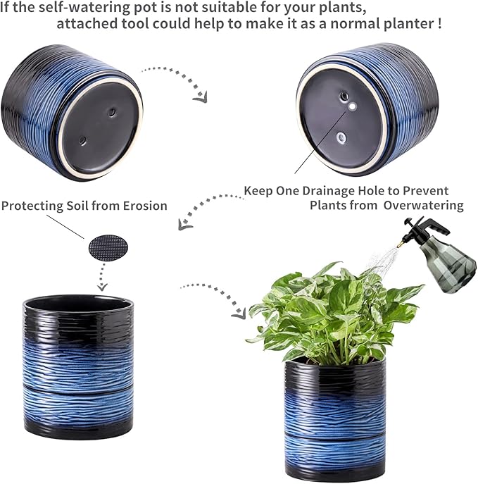 Nihow Self Watering Plant Pot: 6 Inch Ceramic Planter with Drainage Hole & Water Storage Plus for Indoor & Outdoor Plants - Cylinder Round Flower Pot for Succulent/Herbs/Violets - Black & Vivid Blue