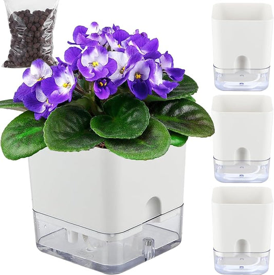 3 Pack-5.5 Inch Self Watering Plant Pots for Indoor Plants, Square Self-Watering Planters Box Transparent for Devil's Ivy, Spider Plant, Orchid. African Violet Pot for Home & Office.