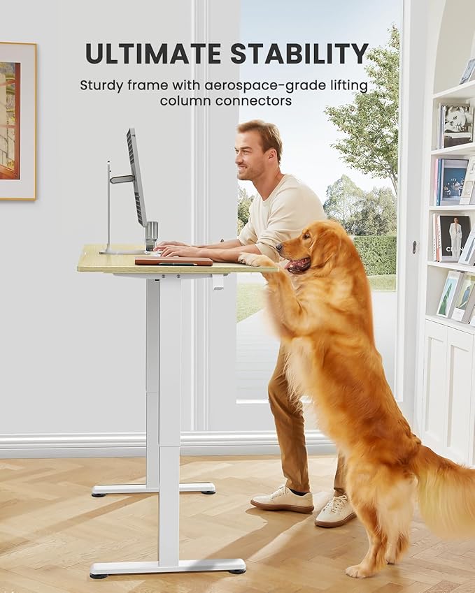 ErGear Height Adjustable Electric Standing Desk, 55 x 28 Inches Sit Stand up Desk, Large Memory Computer Home Office Desk with Two-Piece Desktop (Natural)