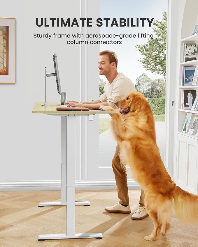 ErGear Electric Standing Desk, 44 x 24 Inches Height Adjustable Stand up Desk, Sit Stand Home Office Desk, with Two-Piece Desktop (Natural)