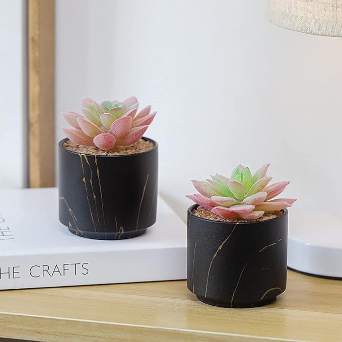 ZENMAG Mini Succulents Plants Artificial, Fake Succulents in Black Ceramic Pots for Desk Livingroom Bathroom and Home Decoration Office Decor for Women Set of 2 Artificial Succulents