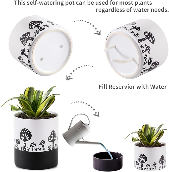 Nihow Self Watering Plant Pot: 6 Inch Ceramic Planter with Drainage Hole & Water Storage Plus for Indoor & Outdoor Plants - Cylinder Round Flower Pot for Succulent/Herbs/Violets -White & Black