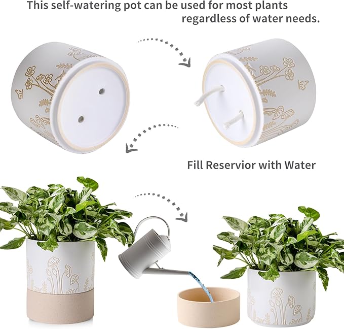 Nihow Self Watering Plant Pot: 6 Inch Ceramic Planter with Drainage Hole & Water Storage Plus for Indoor & Outdoor Plants - Cylinder Round Flower Pot for Succulent/Herbs/Violets -White & Nature