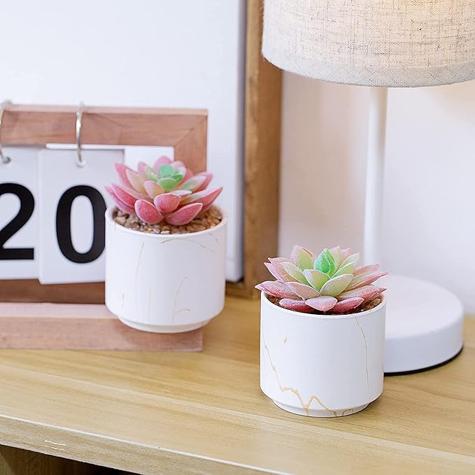 zenmag Succulents Plants Artificial, Mini Fake Succulents in White Ceramic Pots for Desk Livingroom Bathroom and Home Decoration Office Decor for Women Set of 2 Artificial Succulents