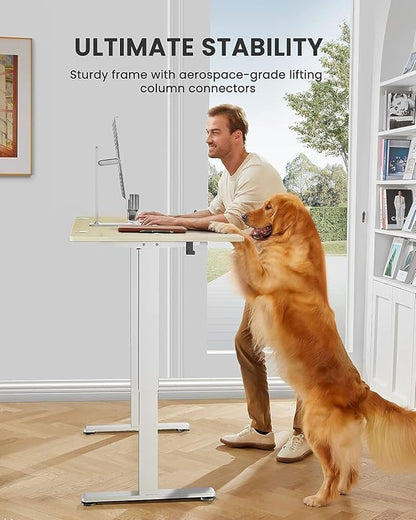 ErGear Height Adjustable Electric Standing Desk, 48 x 24 Inches Sit Stand up Desk, Memory Computer Home Office Desk (Natural)