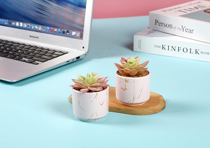 zenmag Fake Succulents, Mini Succulents Plants Artificial in Pink Ceramic Pots for Desk Livingroom Bathroom and Home Decoration Office Decor for Women Set of 2 Artificial Succulents