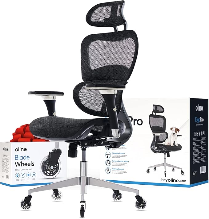 Oline ErgoPro Ergonomic Office Chair, Rolling Desk Chair with 4D Adjustable Armrest, 3D Lumbar Support, Blade Wheels, Mesh Computer Gaming Executive Swivel Chairs Chair (Black)