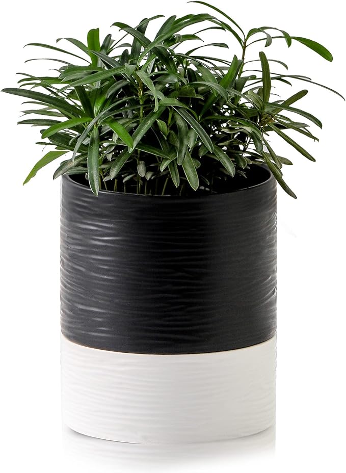 Nihow Self Watering Plant Pot: 6 Inch Ceramic Planter with Drainage Hole & Water Storage Plus for Indoor & Outdoor Plants - Cylinder Round Flower Pot for Succulent/Herbs/Violets - Black & White