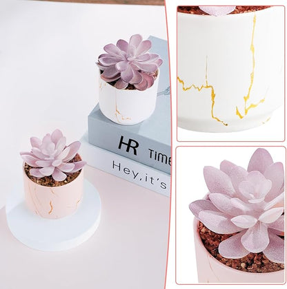 zenmag Artificial Succulent Plants, Fake Succulents Decor in 2 White/Pink Ceramic Pots, Small Plants for Office, Table, Desk, Bathroom, Bedroom, Living Room Shelves Decor, for Women