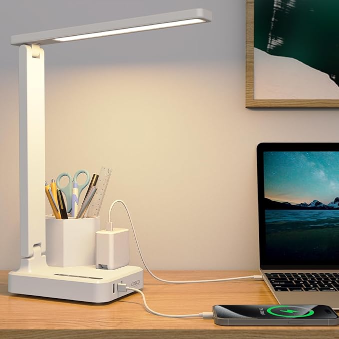 COZOO Dimmable Desk Table Lamp with Pen Holder/Organizer,Study LED Desk Lamp with USB Charging Port/Type C Port/Outlets/Storage Box/Touch,Kids Desk Reading Light for Students,Desk Lamp for Home Office