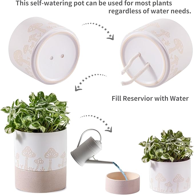 Nihow Self Watering Plant Pot: 6 Inch Ceramic Planter with Drainage Hole & Water Storage Plus for Indoor & Outdoor Plants - Cylinder Round Flower Pot for Succulent/Herbs/Violets - Nature & White