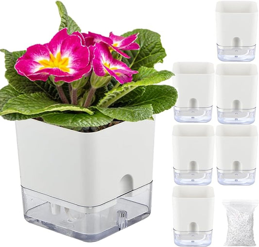 6 Pack-4.3 Inch Self Watering Plant Pots for Indoor Plants,Square Self-Watering Planters Box Transparent for Devil's Ivy, Spider Plant, Orchid, African Violet Pot for Home & Office