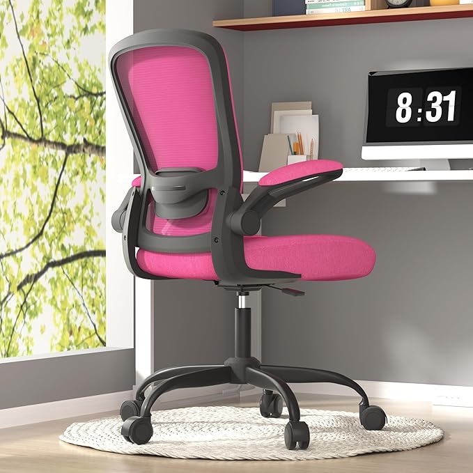 Office Chair, Ergonomic Desk Chair with Adjustable Lumbar Support, High Back Mesh Computer Chair with Flip-up Armrests-BIFMA Passed Task Chairs, Executive Chair for Home Office