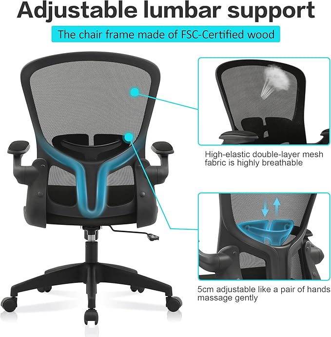 FelixKing Office Desk Chairs, Ergonomic PC Desk Chair with Wheels, Adjustable Lumbar Support and Height, Swivel Computer Chair with Flip-up Armrests, Ergo Mesh Backrest for Working (Black)