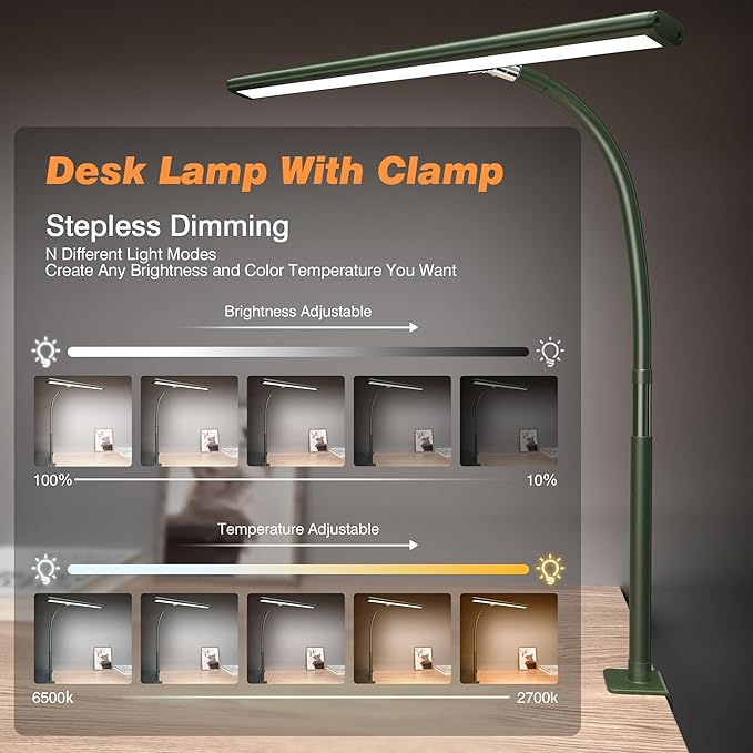 LED Desk Lamp for Office Home, Eye-Caring Desk Light with Stepless Dimming Adjustable Flexible Gooseneck, 10W USB Adapter Desk Lamp with Clamp for Reading, Study, Workbench (Green)