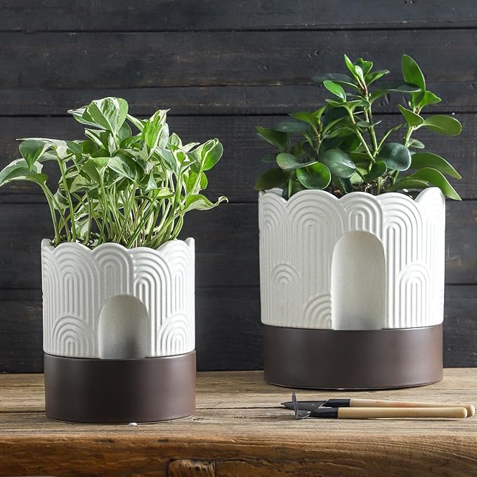 Nihow Self Watering Plant Pot: 6 Inch Ceramic Planter with Drainage Hole & Water Storage Plus - Relief Design Self Watering Pot for Indoor Plants - Beige & Brown Flower Pot