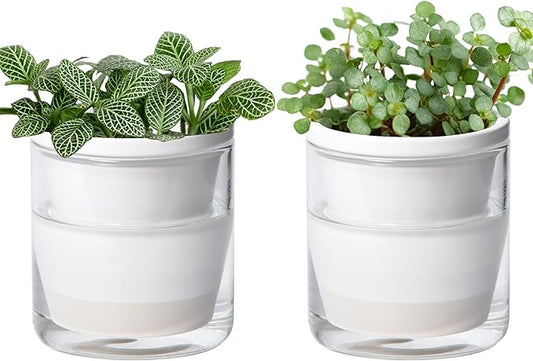 D'vine Dev 4 Inch Design Self Watering Planter for Indoor Plants, White Terracotta Pots with Cylinder Glass Cup, Set of 2, 373-A-2