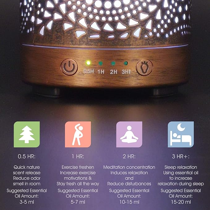 Earnest Living Essential Oil Diffuser Metal Diffuser 100 ml Timers Night Lights and Auto Off Function Home Office Humidifier Aromatherapy Diffusers for Essential Oils Gift