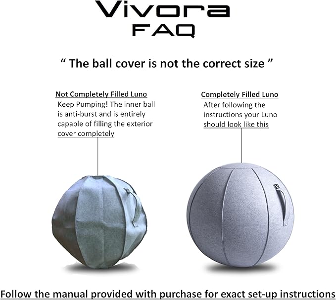 Vivora Luno Premium Ergonomic Sitting Ball Chair, Felt, Standard Size (22 to 24 inches), for Home Offices, Balance Training, Yoga Ball, Posture Improvement