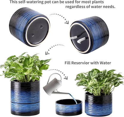 Nihow Self Watering Plant Pot: 6 Inch Ceramic Planter with Drainage Hole & Water Storage Plus for Indoor & Outdoor Plants - Cylinder Round Flower Pot for Succulent/Herbs/Violets - Black & Vivid Blue