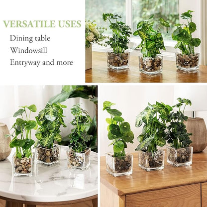 MyGift Set of 3 Artificial Plants, Faux Tabletop Greenery w/Clear Glass Pots