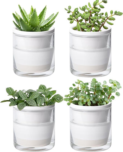 D'vine Dev 4 Inch Design Self Watering Planter for Indoor Plants, White Terracotta Pots with Cylinder Glass Cup, Set of 4, 373-A-4