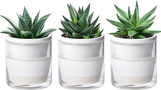 D'vine Dev 4 Inch Design Self Watering Planter for Indoor Plants, White Terracotta Pots with Cylinder Glass Cup, Set of 3, 373-A-3