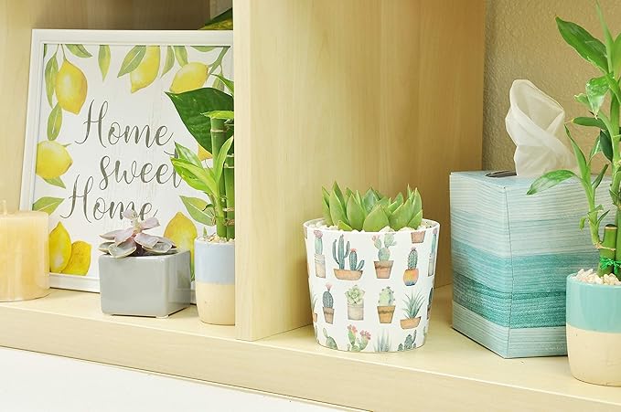 Costa Farms Live Indoor Echeveria Succulent Plant in Wood Design Ceramic Pot