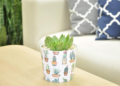 Costa Farms Live Indoor Echeveria Succulent Plant in Wood Design Ceramic Pot