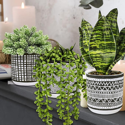 Winlyn 3 Pcs Small Potted Plants Artificial Succulents Hanging Plants and Faux Tropical Snake Plant in Black Geometric Pots for Modern Home Kitchen Windowsill Table Shelf Indoor Outdoor Greenery Decor