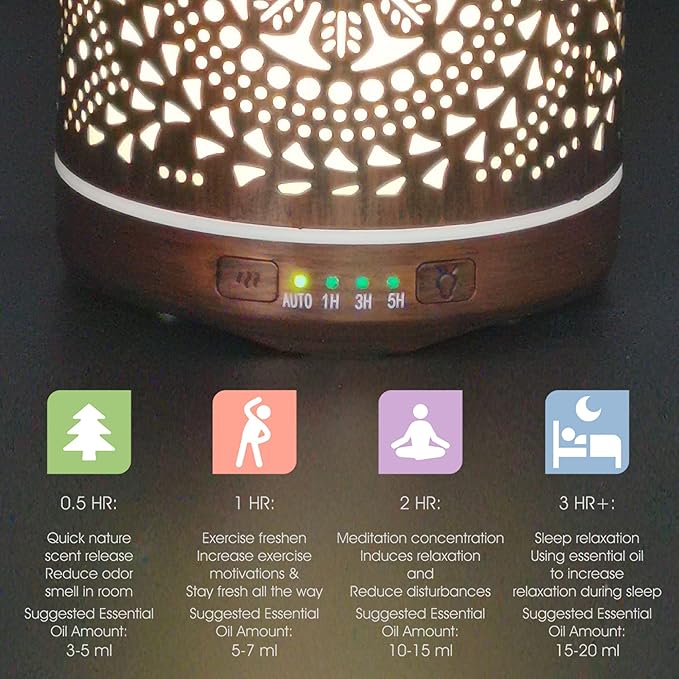 Earnest Living Essential Oil Diffuser Metal Diffuser 250 ml Timers Night Lights and Auto Off Function Home Office Humidifier Aromatherapy Diffusers for Essential Oils Gift