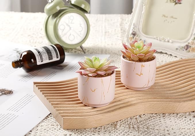 zenmag Fake Succulents, Mini Succulents Plants Artificial in Pink Ceramic Pots for Desk Livingroom Bathroom and Home Decoration Office Decor for Women Set of 2 Artificial Succulents