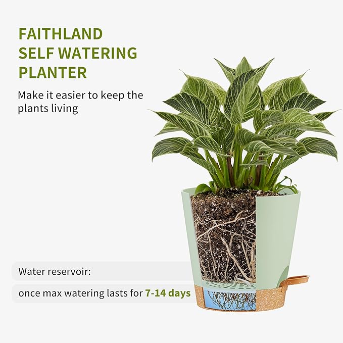 FaithLand 6-Pack Green Self Watering Planter Pots for Indoor Outdoor Plants - 8, 7, 6.5, 6, 5.5, 5 Inches Flower Pots