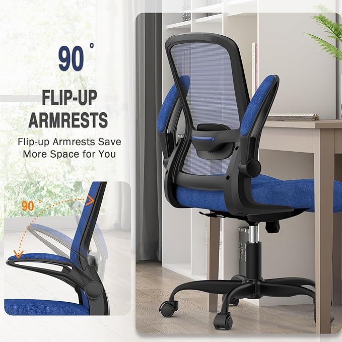 Office Chair, Ergonomic Desk Chair with Adjustable Lumbar Support, High Back Mesh Computer Chair with Flip-up Armrests-BIFMA Passed Task Chairs, Executive Chair for Home Office