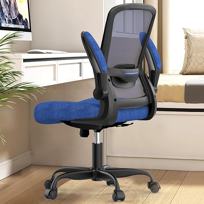 Office Chair, Ergonomic Desk Chair with Adjustable Lumbar Support, High Back Mesh Computer Chair with Flip-up Armrests-BIFMA Passed Task Chairs, Executive Chair for Home Office