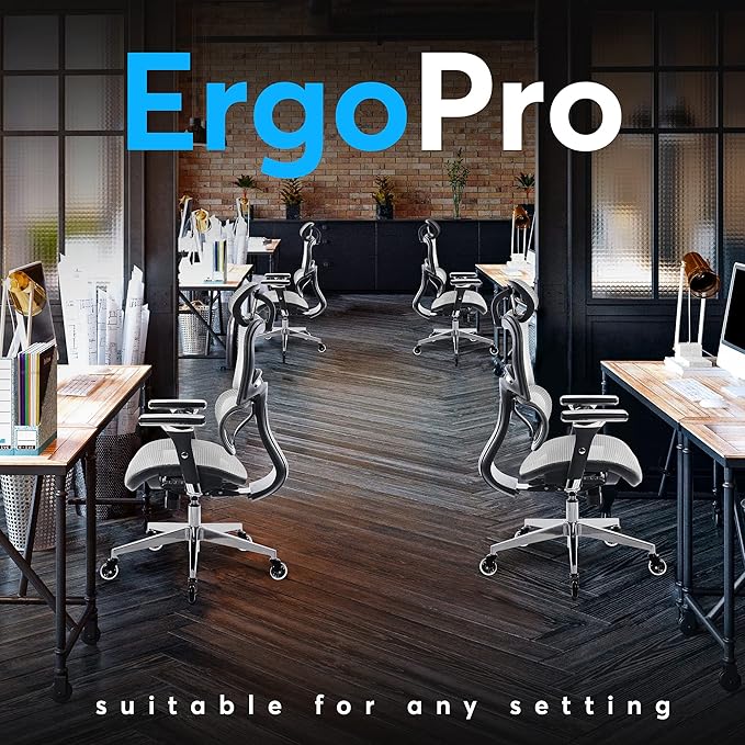 Oline ErgoPro Ergonomic Office Chair - Rolling Desk Chair with 4D Adjustable Armrest, 3D Lumbar Support and Blade Wheels - Mesh Computer Chair, Gaming Chairs, Executive Swivel Chair (Light Gray)