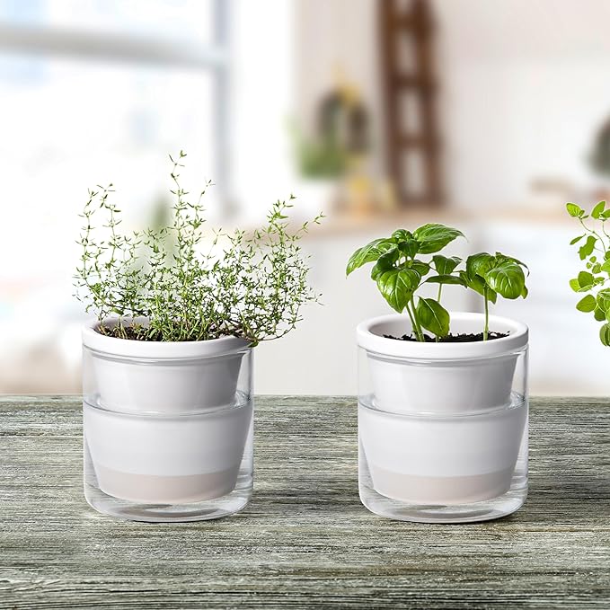 D'vine Dev 4 Inch Design Self Watering Planter for Indoor Plants, White Terracotta Pots with Cylinder Glass Cup, Set of 4, 373-A-4