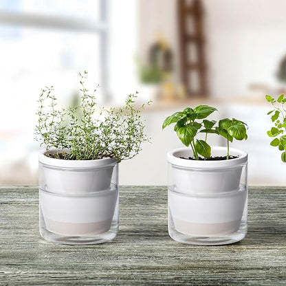 D'vine Dev 4 Inch Design Self Watering Planter for Indoor Plants, White Terracotta Pots with Cylinder Glass Cup, Set of 3, 373-A-3