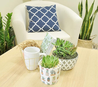 Costa Farms Live Indoor Echeveria Succulent Plant in Wood Design Ceramic Pot